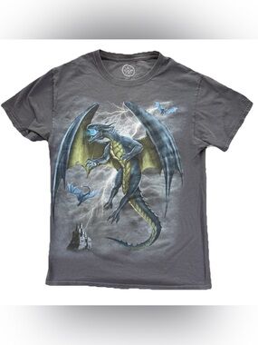 Vintage Dragon Castle Storm T Shirt Men's Small Gray DOM Fantasy AOP Y2K Wizard